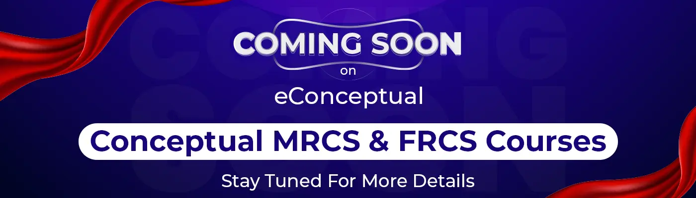 Coming soon banner 1400 400-1 copy (1)